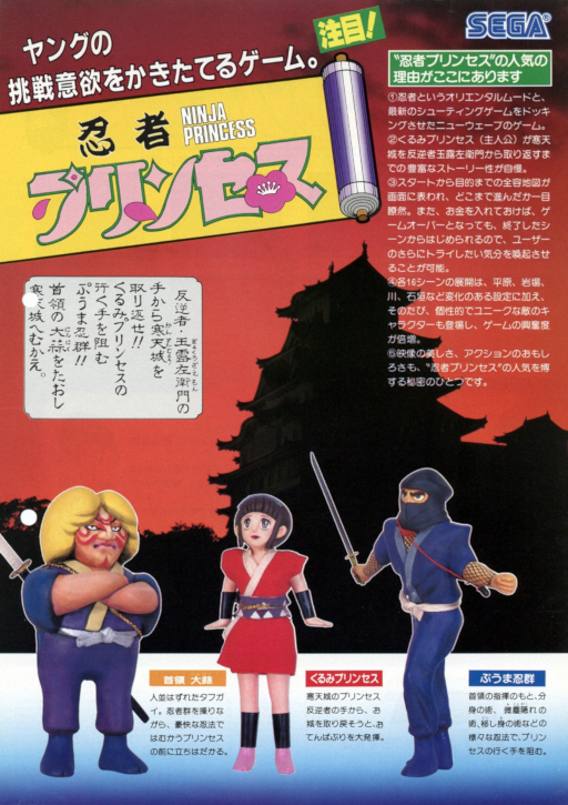 Ninja Princess (315-5098, 128k Ver.) Arcade Game Cover